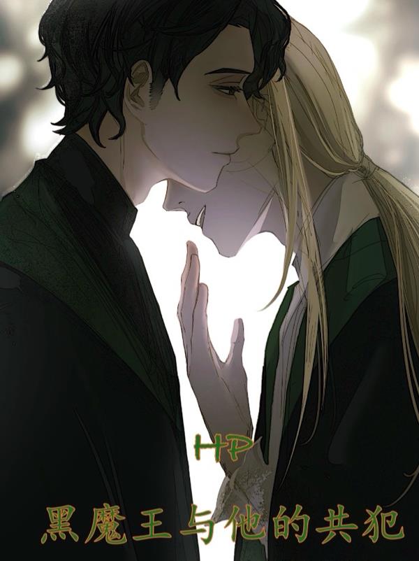 HP黑魔王与他的共犯